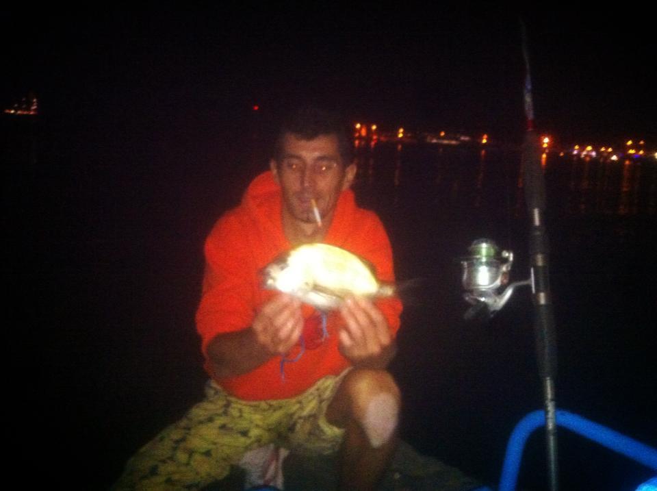 incep sa apara pesti din franta - primu peste mai rasarit
